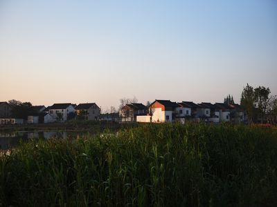 DSC_3952.jpg